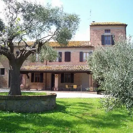 Solebello Mulberry Morro d'Alba