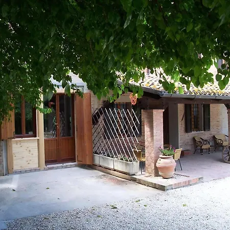 Solebello Mulberry *